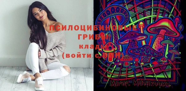 метамфетамин Сатка