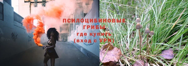 стаф Белокуриха